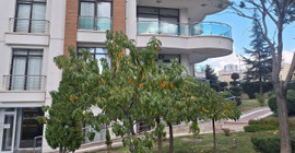 Ankara'da balkondan evine girmeye çalışırken düşen ABD'li öldü