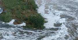 Bismil Belediyesi’nden Dicle Nehri uyarısı: Suyu kullanmayın, balık avlamayın