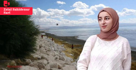Eski savcı Ümit Avcı, Rojin Kabaiş soruşturmasını değerlendirdi: 'Ortada eksik bir soruşturma var, dosya bomboş'