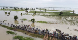 Nijerya'daki sellerde ölü sayısı 321'e çıktı