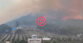 Hatay'daki orman yangını evlere ulaştı