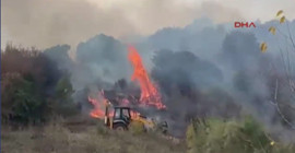 Çanakkale'de orman yangını