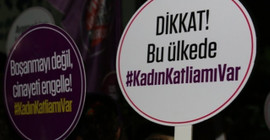 Van'da bir kadın katledildi