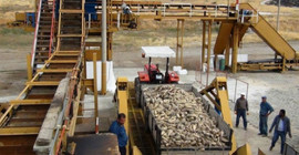 Hükümet, 14 şeker fabrikasını satışa çıkarıyor