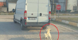 Köpeği minibüsün arkasına iple bağlayıp çeken şahsa 65 bin TL para cezası