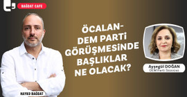 Ayşegül Doğan 'İmralı' başvurusu hakkında konuştu: 'Başvurumuza olumlu dönüş yok, haberler manipülatif'