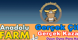 Çiftlik Bank bitmeden Anadolu Farm başladı