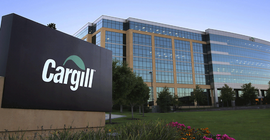 'Odalar Cargill adına ihaleye katılıyor' iddiası