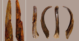 İspanya'da bilinen en eski Neandertal ahşap aleti bulundu