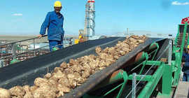Şeker fabrikaları için ilk iki ihale yapıldı