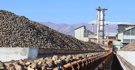 Doğuş Çay şeker fabrikalarını ikiledi