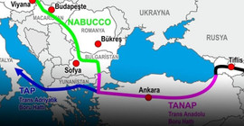 Yaşam ve doğa için mücadele