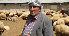 Besiciler yayla yasakları nedeniyle mağdur