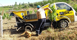 Manisa'da hayvan katliamı