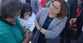 Şempanze Can, Fatma Şahin'i yumrukladı