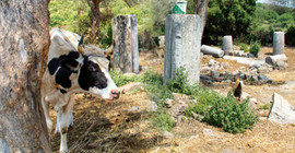Sahibinden satılık 2 bin 500 yıllık antik kent