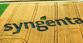 Syngenta’nın satışına şartlı onay
