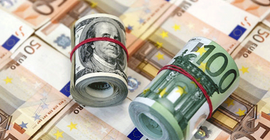 Euro borçlu beş şirket havlu atma noktasında