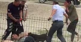 Polisten köpeğe 8 kurşun