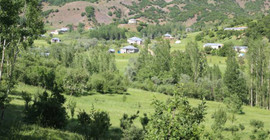 Çobanları işkence gören köyün berivanları yaylalara çıkamıyor