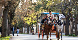 Adalar'da atlı fayton dönemi bitiyor