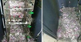 ATM'ye giren fareler paraları yedi