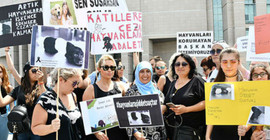 Hayvanseverler: Gerçek failler bulunsun