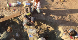 Siirt'te 5 bin yıllık çocuk kurban kanıtları bulundu