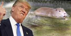 Hayvanat bahçesinin gözdesi 'Trump'