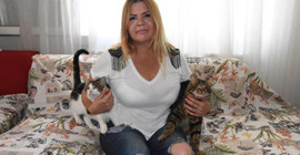 Kedi besleyen komşusuna hakaret edince mama almak zorunda kaldı