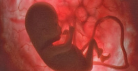 İnsan embriyosunun 'genleri değiştirilebilir'