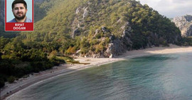 Mahkeme 'dur' deyinceye kadar ağaçlar gitti
