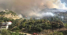 Hatay'da orman yangını çıktı