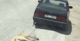 Köpeği aracının arkasına bağlayıp sürükledi
