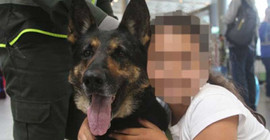 Uyuşturucu çeteleri narkotik köpeğin başına ödül koydu