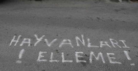 Komşularına kızınca sokağa 'Hayvanları elleme' yazdı