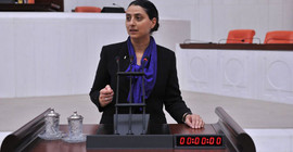 HDP'li Uca, hastanelerdeki sorunları Meclis'e taşıdı