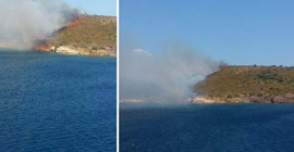 Ayvalık'ta orman yangını