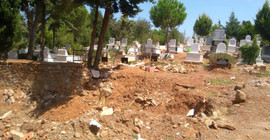 Mezarlığı keçiler istila etti