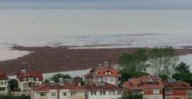 Tonlarca fındık denize aktı