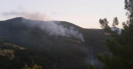 Hatay'da orman yangını