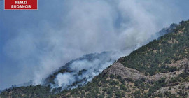 Dersim'de ormanlar yanıyor, müdahaleye izin verilmiyor