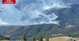 'Yangına müdahale etmek değil, izlemek suç'