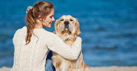 Kesin bilgi: Köpekler sahiplerine benziyor