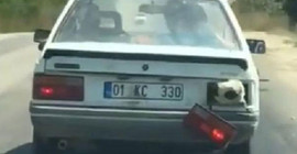 Adana'da koyunun nefes alması için arka far söküldü
