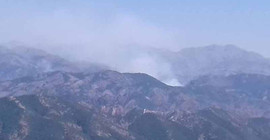 Dersim’deki orman yangını için harekete geçme çağrısı