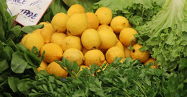 Limonun kilosu tarlada 1 TL, market ve pazarda 10 TL