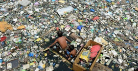 Plastik yiyen mantar çöp krizine çare olabilir