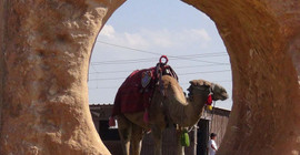 Umumi tuvalet geleneği Harran'dan geliyor