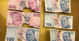 82 yaşındaki kadının evde sakladığı paraları fareler kemirdi